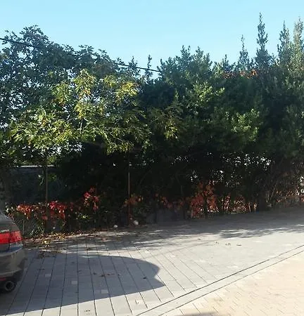 Marina شقة *